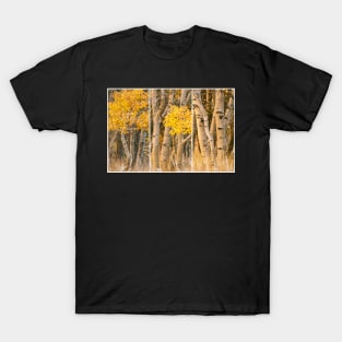 Aspens Trio T-Shirt